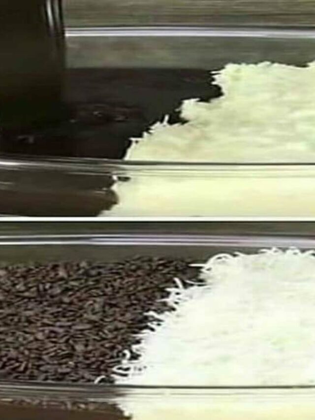 Casadinho na travessa ótimo para sobremesa