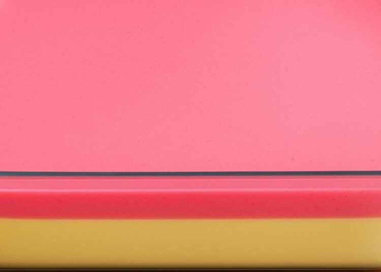 Easy 2-Layer Dessert with Just 2 Ingredients, in Minutes